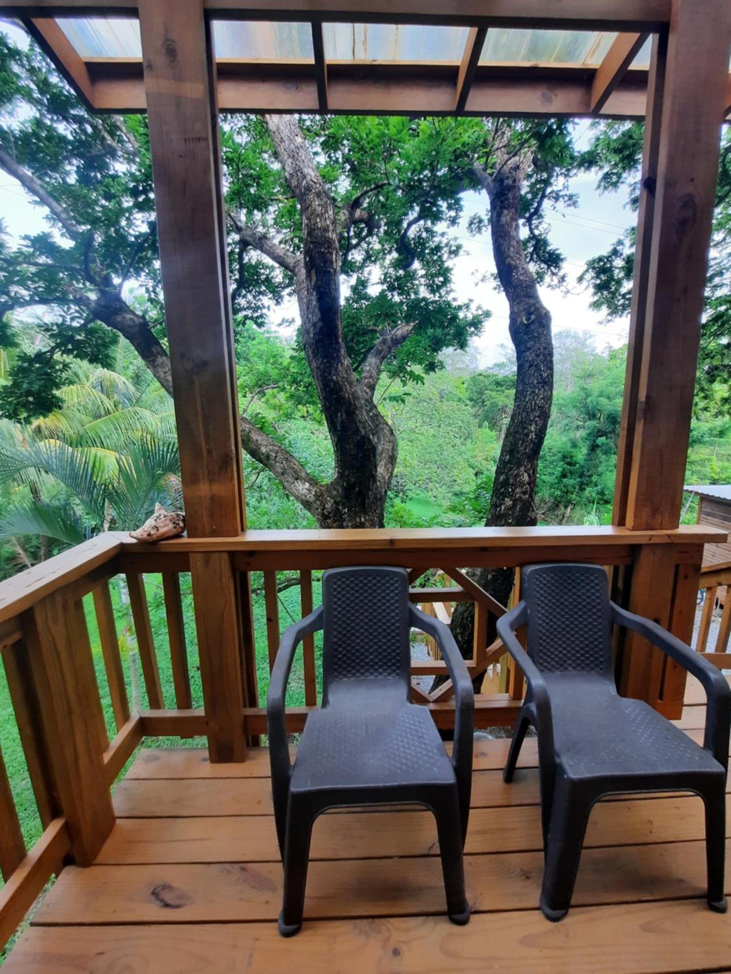 Guava Grove Resort & Villas Sandy Bay Luaran gambar