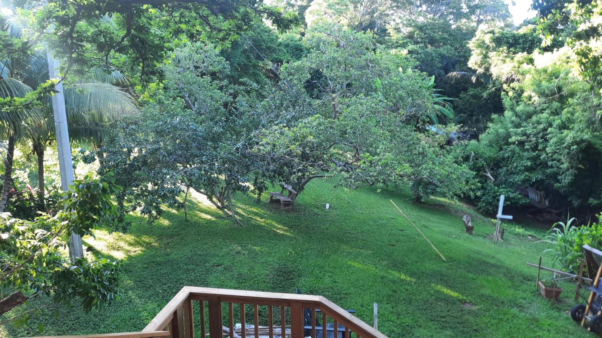 Guava Grove Resort & Villas Sandy Bay Luaran gambar