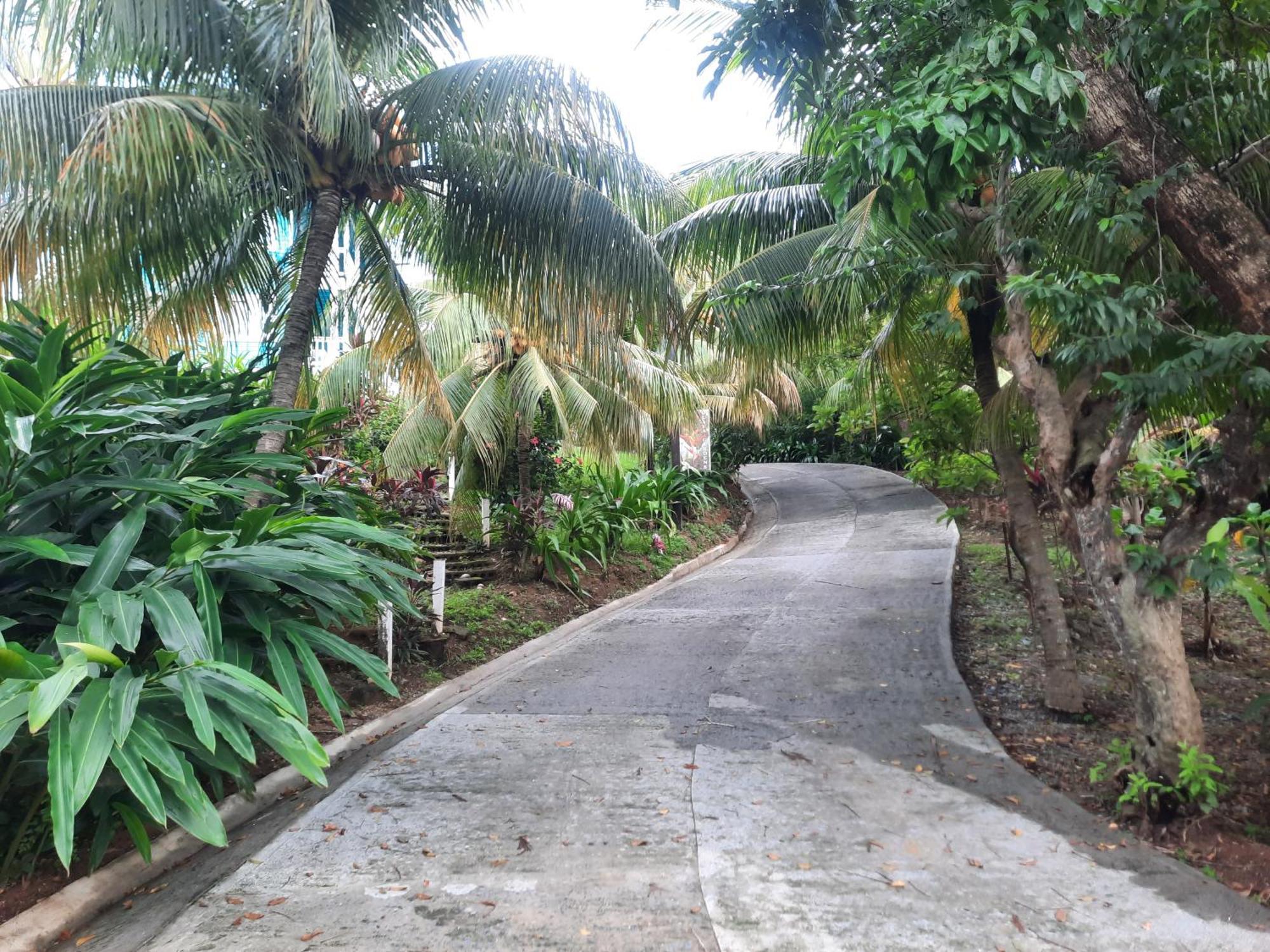 Guava Grove Resort & Villas Sandy Bay Luaran gambar